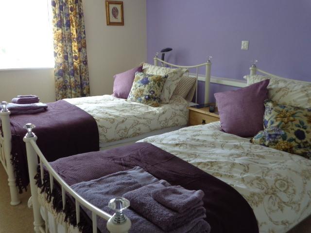 Lodge House B&B Buckland St Mary Oda fotoğraf
